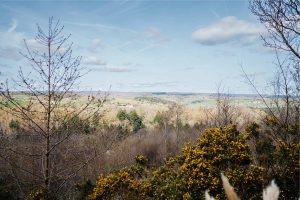 view from glade, Yurtshire Eavestone Lake